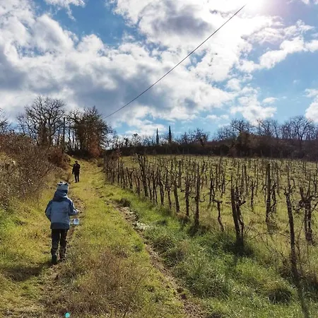 Il Borgo Di Capannole, Il Giorgio Lejlighed *