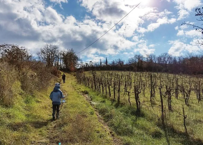 Il Borgo Di Capannole, Il Giorgio Daire *